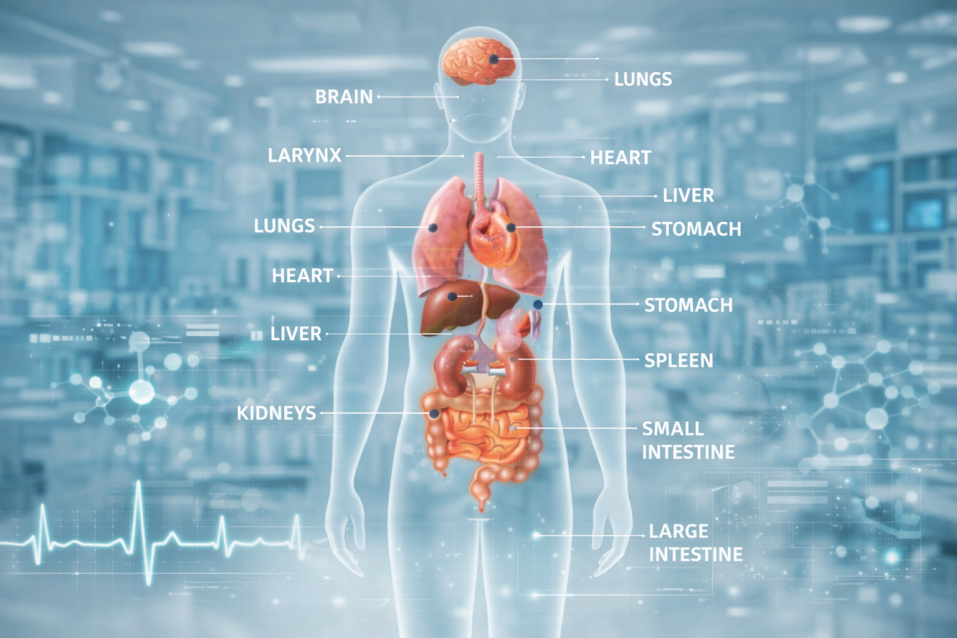 أمراض باطنية